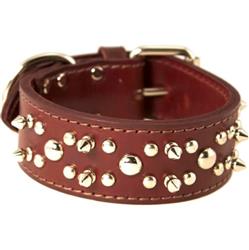Omni Pet Latigo Leather Spike/Stud Dog Collar Burgundy 1.75 x 28in.