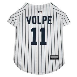 Anthony Volpe Player Jersey (YAN)