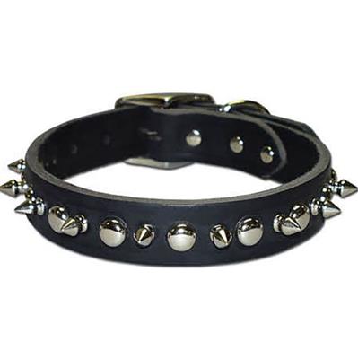 Omni Pet Latigo Leather 1 Ply Spiked Dog Collar Black 3/8 x 10in.