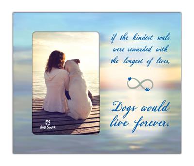 Picture Frame Assortment includes 2 each of 4 AVAILABLE Designs