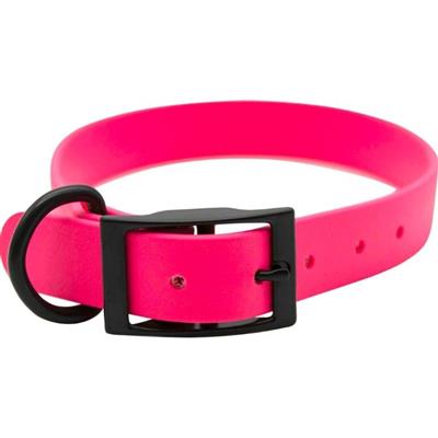 Omni Pet Zeta Biothane Dog Collar with Blk Hardware Ruby 1 x 20in.