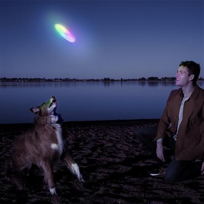 Nite Ize Flashflight Dog Discuit LED Flying Disc - Disc-O