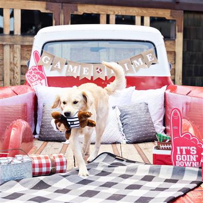 PetShop by Fringe Studio Rufferee Plush Dog Toy