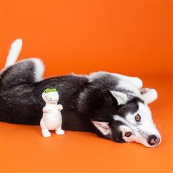 Extra Product Image