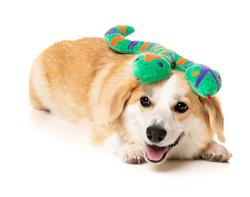 Extra Product Image