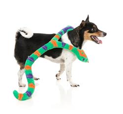Extra Product Image