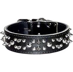 Omni Pet Latigo Leather Spike/Stud Dog Collar Black 1.75 x 28in.