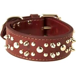 Omni Pet Latigo Leather Spike/Stud Dog Collar Burgundy 1.75 x 20in.