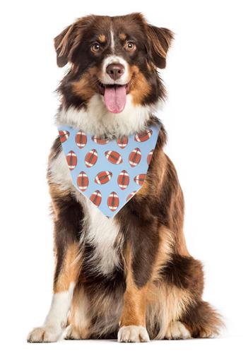 Fall Bandana | Football Bandana | Dog Bandana | Thanksgiving | Sports