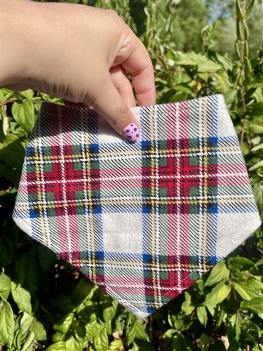 Après Bark – Holiday Dog Bandana | Red, Green & Gold Plaid on White | Organic Cotton | Handmade in LA