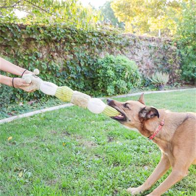 Tough Hemp Caterpillar Dog Toy