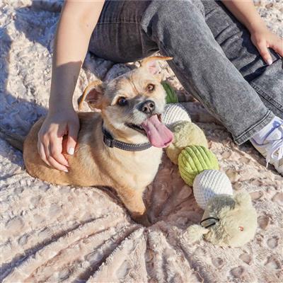 Tough Hemp Caterpillar Dog Toy