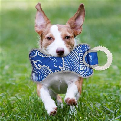 Detroit Lions Zubaz Dental Ring Toy