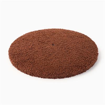 Cat Scratching Post — Tree