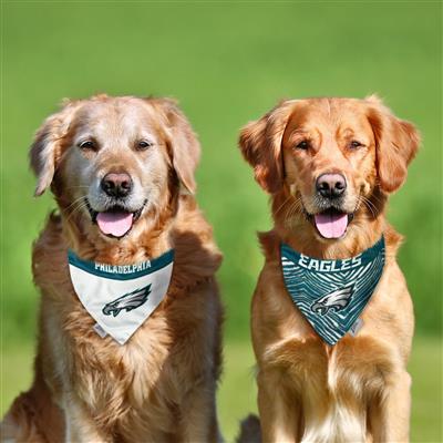 Philadelphia Eagles Zubaz Reversible Bandana