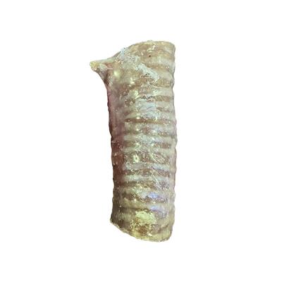 ThoozyPet USA-Sourced Beef Trachea Dog Chews 4-6" 20ct