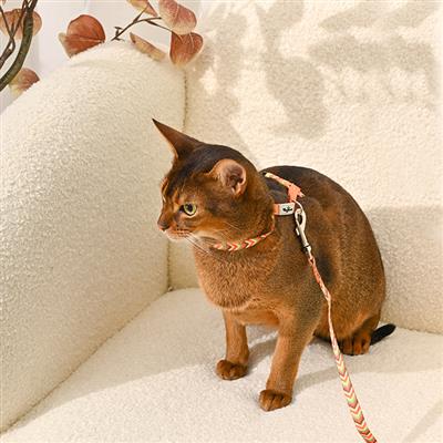 Cat Harness & Leash Set— Vintage