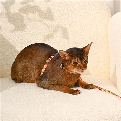 Cat Harness & Leash Set— Vintage