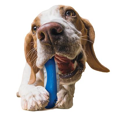 fouFIT™ Brush 'n Bite - Case of 3