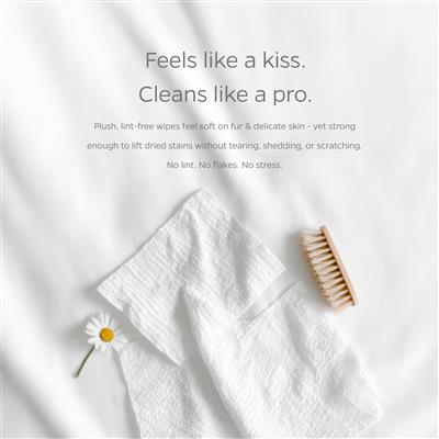 Pet Parents® Pet WiPees™ Eye