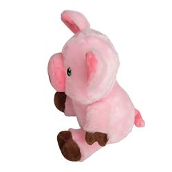 Extra Product Image