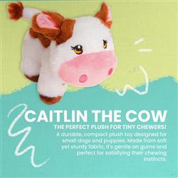 Extra Product Image