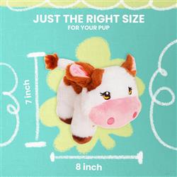 Extra Product Image