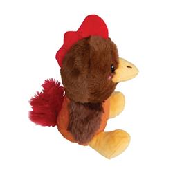 Extra Product Image