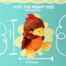 Extra Product Image