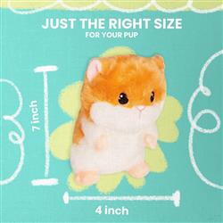 Extra Product Image