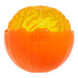 Extra Product Image