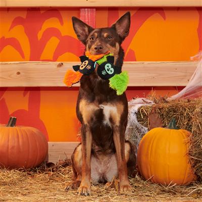 BARK Flutter & Fang Plush Dog Toy