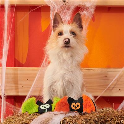 BARK Flutter & Fang Plush Dog Toy