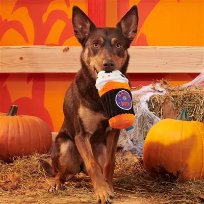 BARK Spooky Boo Brew Plush Dog Toy