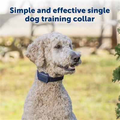 PetSafe® Basic Dog Trainer with Remote