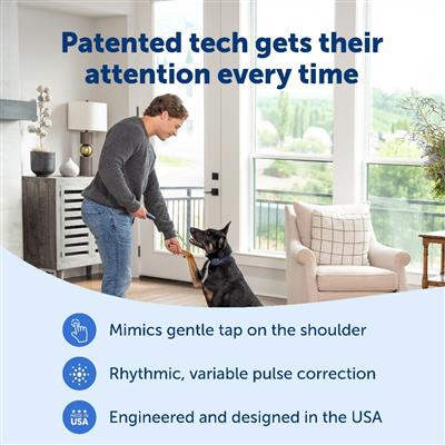PetSafe® Basic Dog Trainer with Remote
