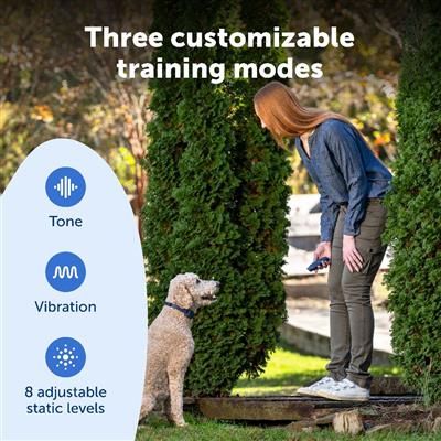 PetSafe® Basic Dog Trainer with Remote