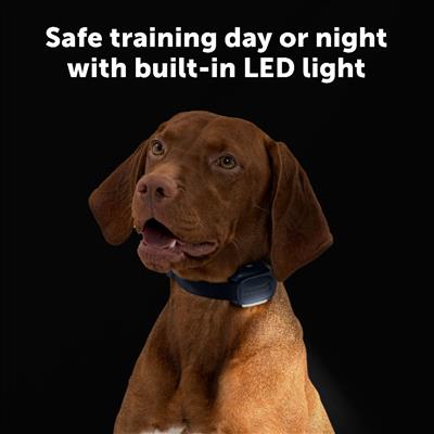 PetSafe® Core Dog Trainer with Remote