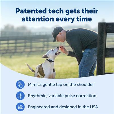 PetSafe® Core Dog Trainer with Remote