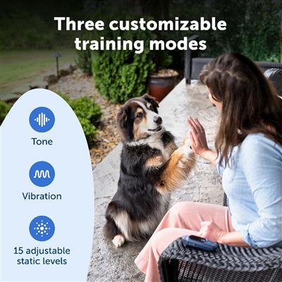PetSafe® Core Dog Trainer with Remote