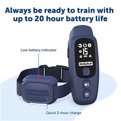 PetSafe® Core Dog Trainer with Remote
