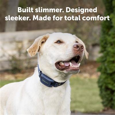 PetSafe® Pro Dog Trainer with Remote