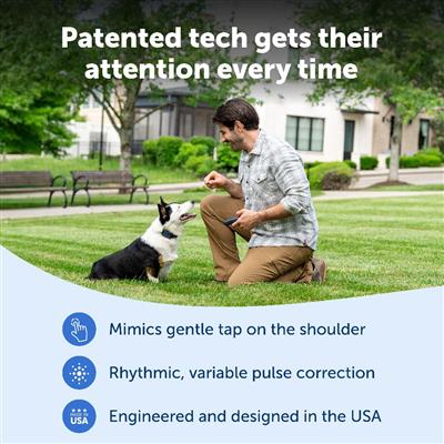 PetSafe® Pro Dog Trainer with Remote