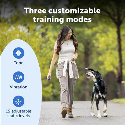 PetSafe® Pro Dog Trainer with Remote