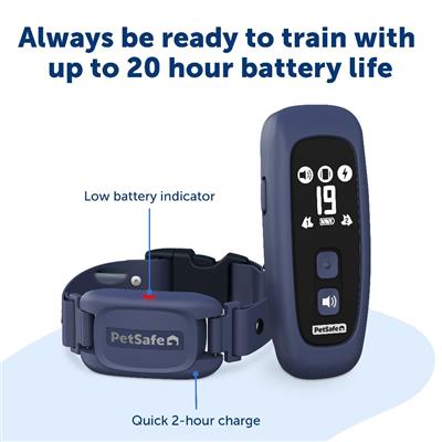 PetSafe® Pro Dog Trainer with Remote