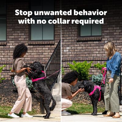 PetSafe® Collarless Ultrasonic Remote Trainer