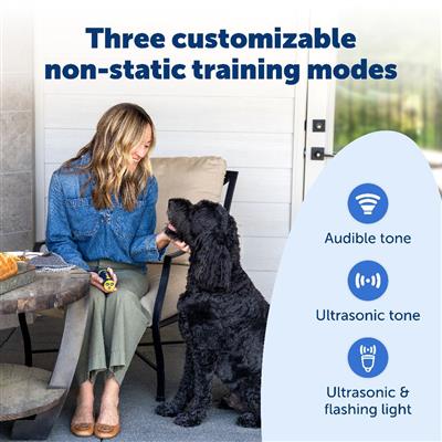 PetSafe® Collarless Ultrasonic Remote Trainer