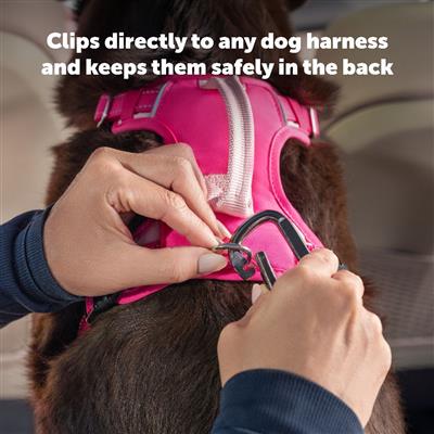 PetSafe® Safety Seatbelt Tether, Black