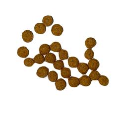 Extra Product Image