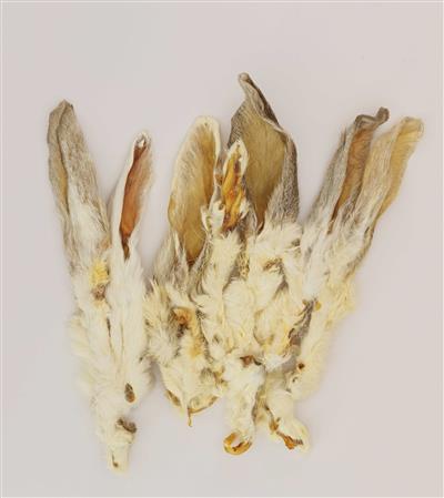 2 Pack Rabbit Ears with Fur - Peggable Ziplock with sticker